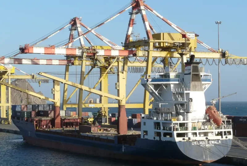 DELMAS SWALA Container Ship IMO 9072094 photo 5