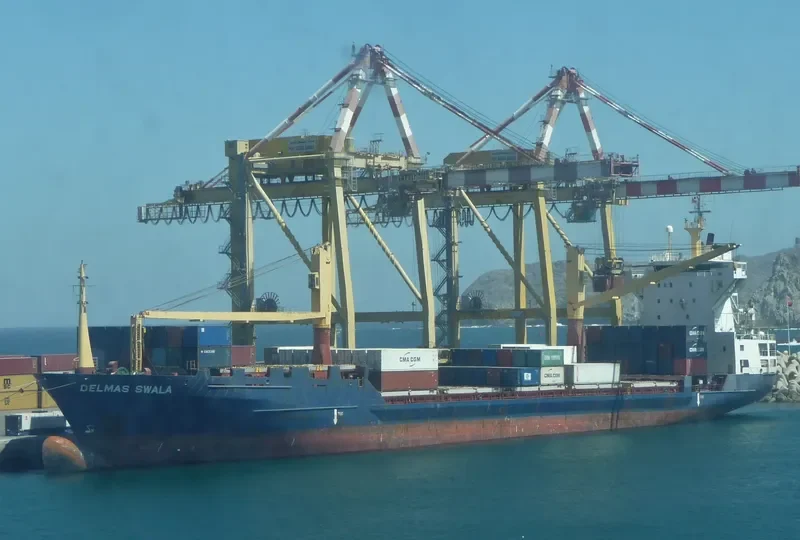 DELMAS SWALA Container Ship IMO 9072094 photo 6