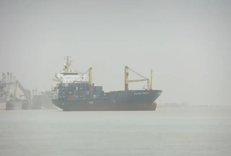 DELMAS SWALA Container Ship IMO 9072094 photo 7