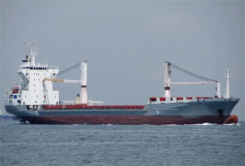 DAWEI STAR Container Ship IMO 9072109