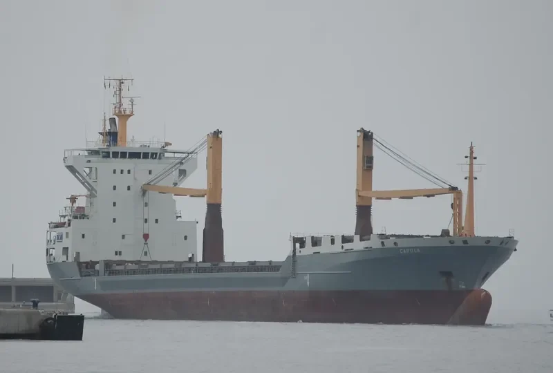 DAWEI STAR Container Ship IMO 9072109 photo 2