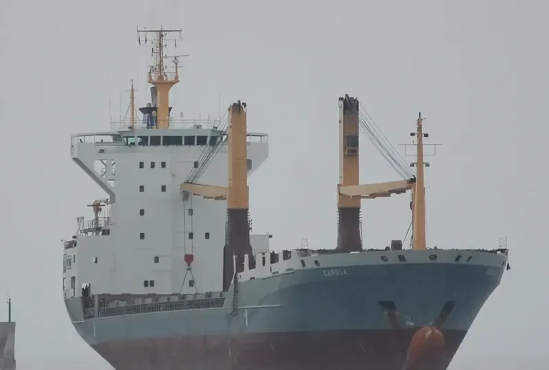 DAWEI STAR Container Ship IMO 9072109 photo 3