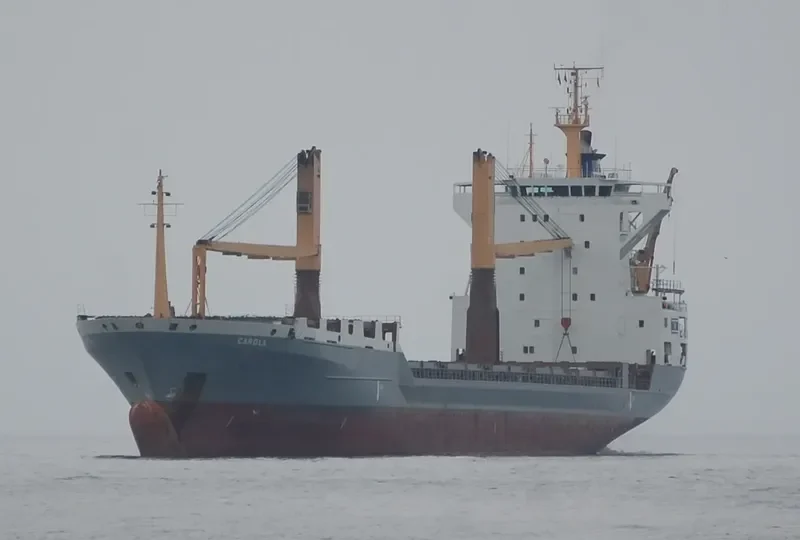 DAWEI STAR Container Ship IMO 9072109 photo 4