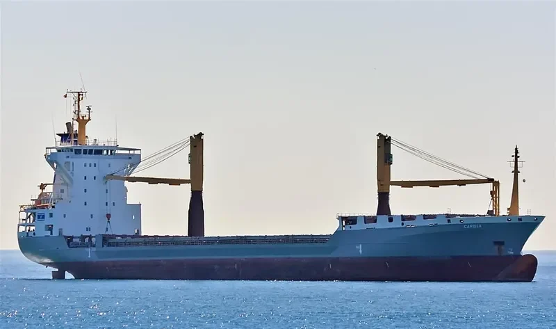 DAWEI STAR Container Ship IMO 9072109 photo 6