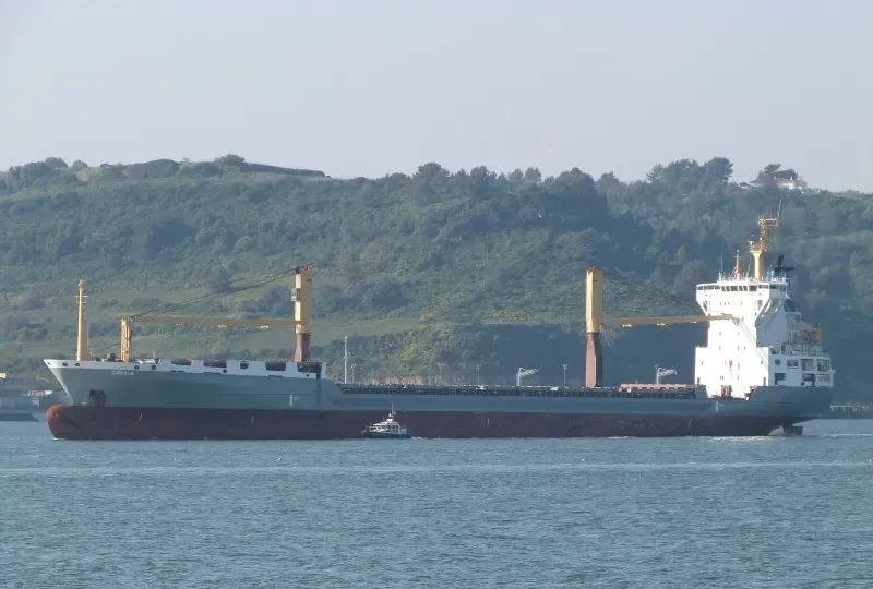 DAWEI STAR Container Ship IMO 9072109 photo 7