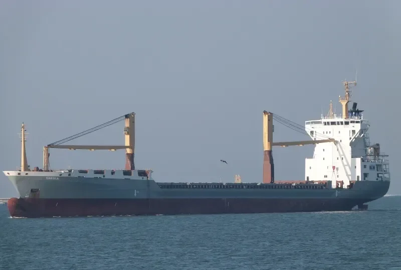 DAWEI STAR Container Ship IMO 9072109 photo 8