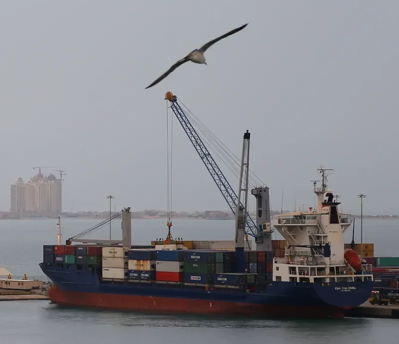 CMA CGM SIMBA Container Ship IMO 9072111 photo 6