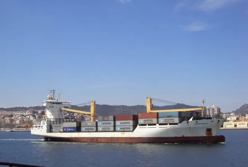 CMA CGM SIMBA Container Ship IMO 9072111 photo 9