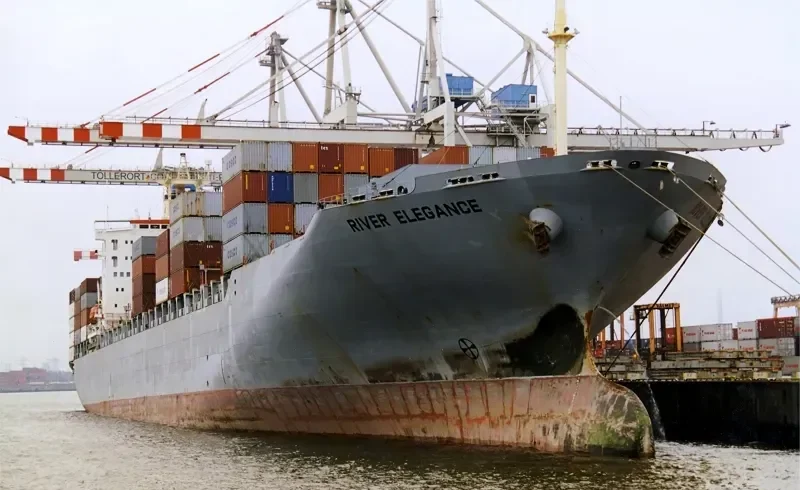 RIVER ELEGANCE Container Ship IMO 9072147 photo 2
