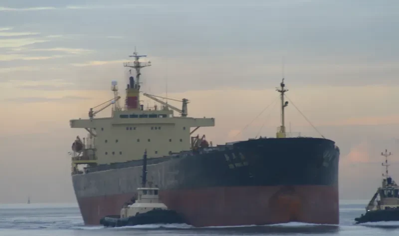 XIN PING HAI Bulk Carrier IMO 9072161 photo 3
