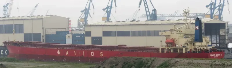 NAVIOS GEMINI S Bulk Carrier IMO 9072173 photo 2