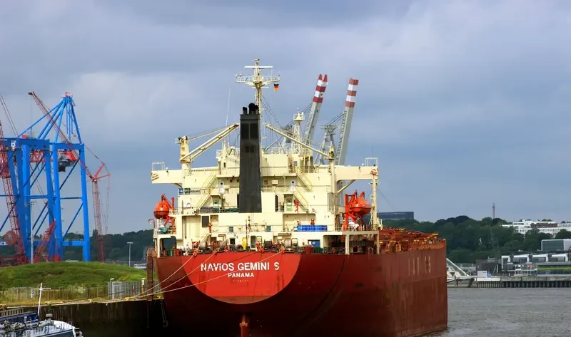 NAVIOS GEMINI S Bulk Carrier IMO 9072173 photo 3