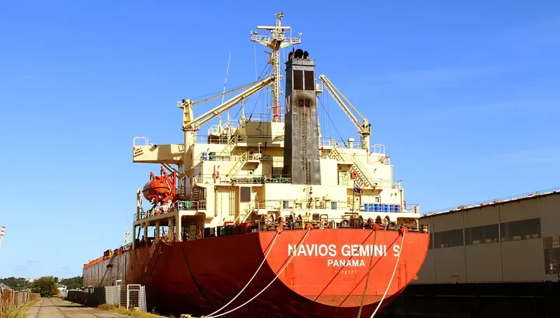 NAVIOS GEMINI S Bulk Carrier IMO 9072173 photo 4