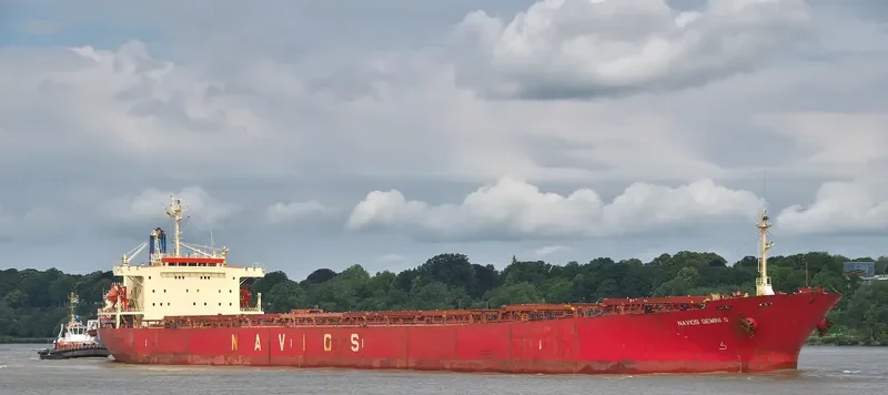 NAVIOS GEMINI S Bulk Carrier IMO 9072173 photo 7