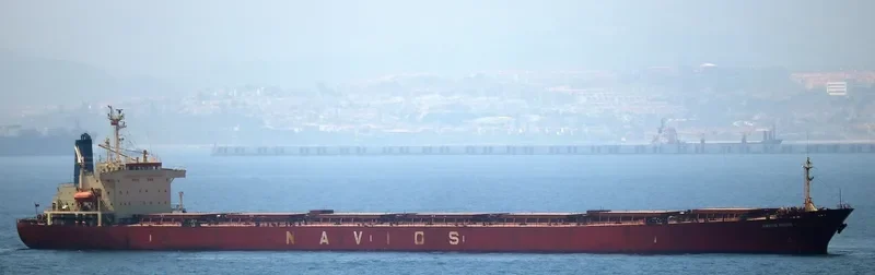 NAVIOS GEMINI S Bulk Carrier IMO 9072173 photo 8