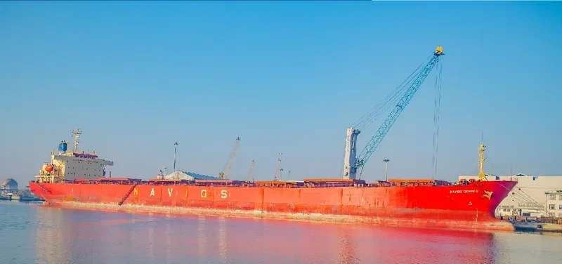 NAVIOS GEMINI S Bulk Carrier IMO 9072173 photo 9