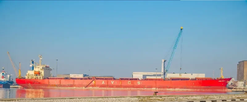 NAVIOS GEMINI S Bulk Carrier IMO 9072173 photo 10