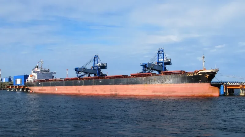 YI HUI Bulk Carrier IMO 9072185 photo 2