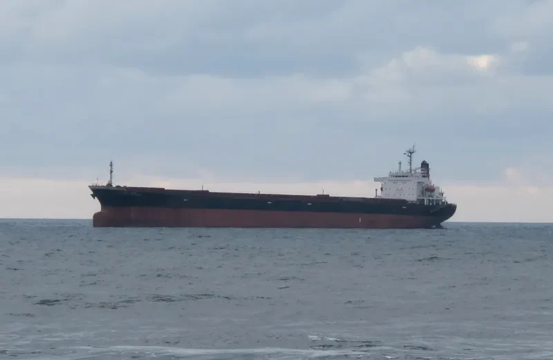 YI HUI Bulk Carrier IMO 9072185 photo 3