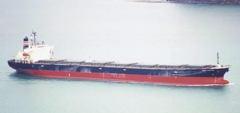 YI HUI Bulk Carrier IMO 9072185 photo 4