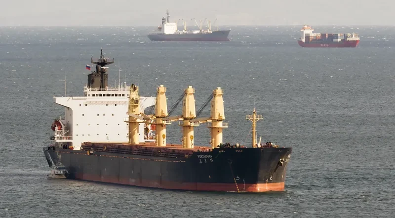 PORTMANN Bulk Carrier IMO 9072214 photo 2