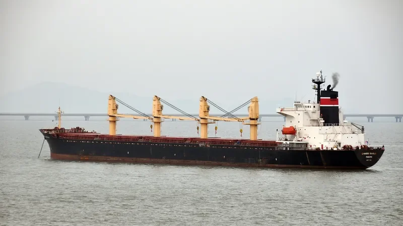 PORTMANN Bulk Carrier IMO 9072214 photo 4