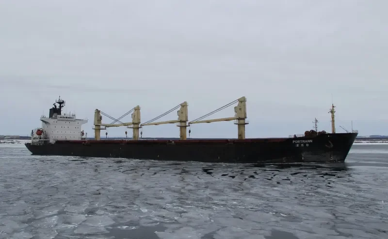 PORTMANN Bulk Carrier IMO 9072214 photo 8