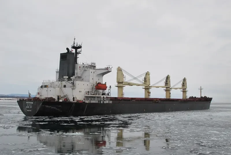 PORTMANN Bulk Carrier IMO 9072214 photo 9