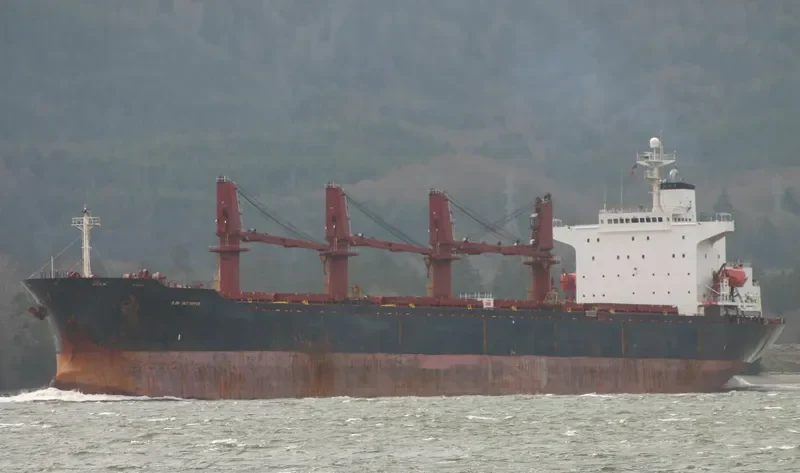 JAHAN BROTHERS Bulk Carrier IMO 9072226 photo 2