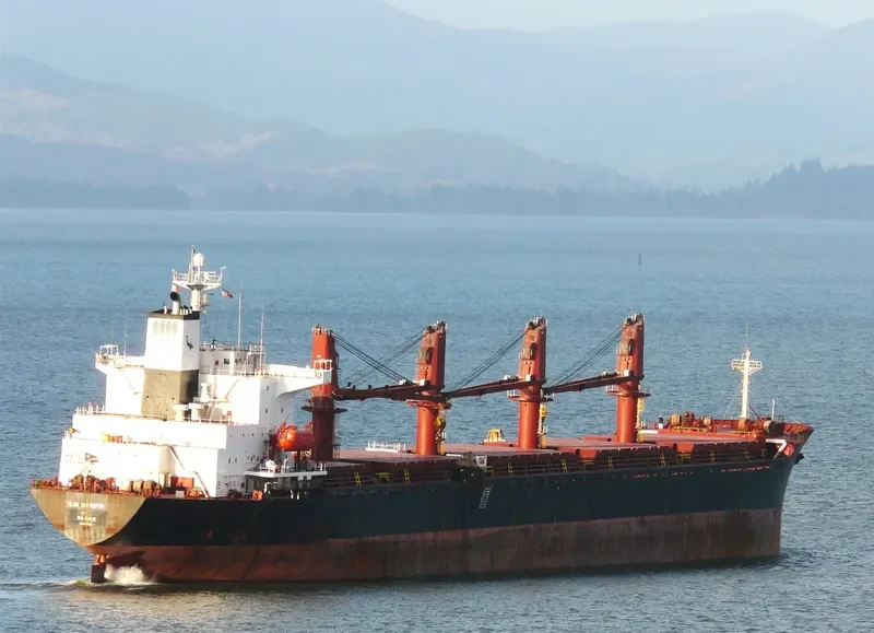 JAHAN BROTHERS Bulk Carrier IMO 9072226 photo 3