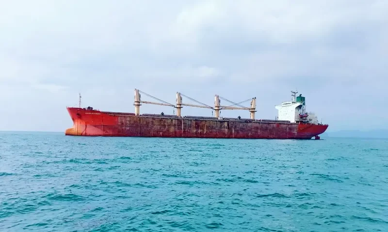 JAHAN BROTHERS Bulk Carrier IMO 9072226 photo 4