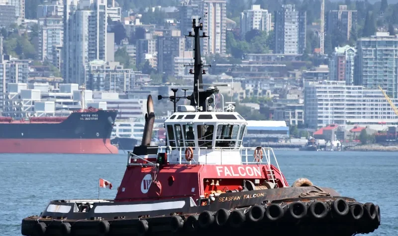 SEASPAN FALCON General Cargo IMO 9072393 photo 3