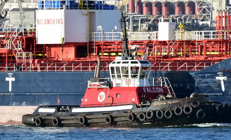 SEASPAN FALCON General Cargo IMO 9072393 photo 6
