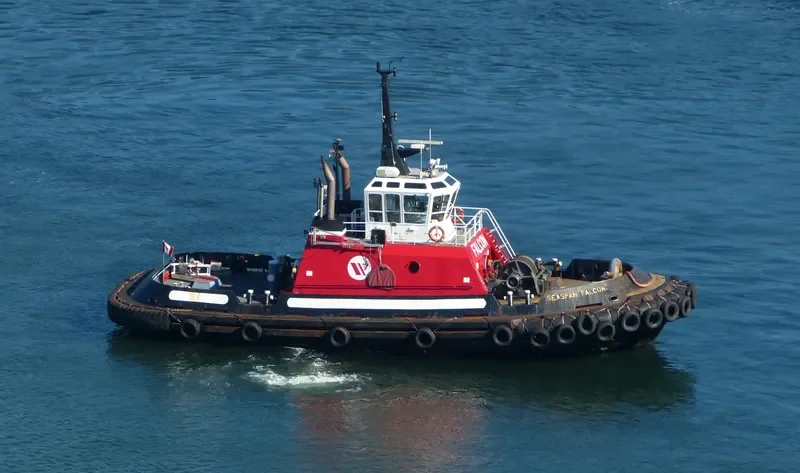 SEASPAN FALCON General Cargo IMO 9072393 photo 10