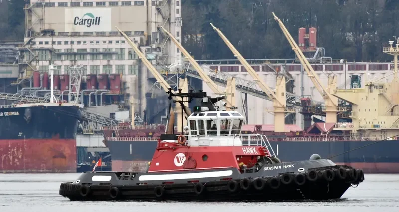 SEASPAN HAWK General Cargo IMO 9072408 photo 2