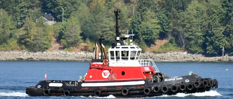 SEASPAN HAWK General Cargo IMO 9072408 photo 4