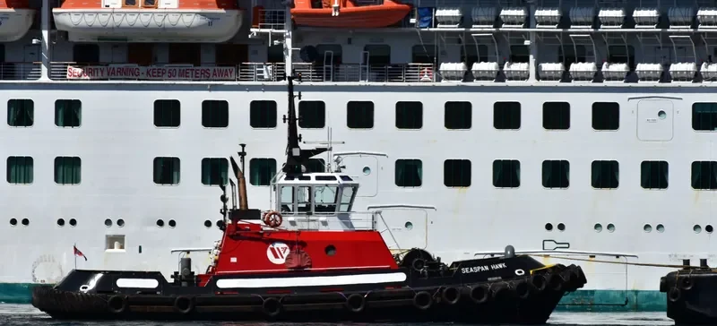 SEASPAN HAWK General Cargo IMO 9072408 photo 5