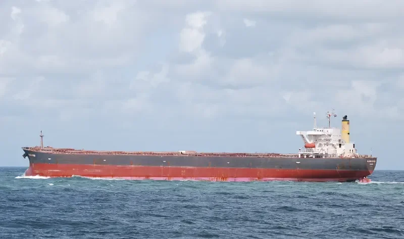 LEO II Bulk Carrier IMO 9072628 photo 2