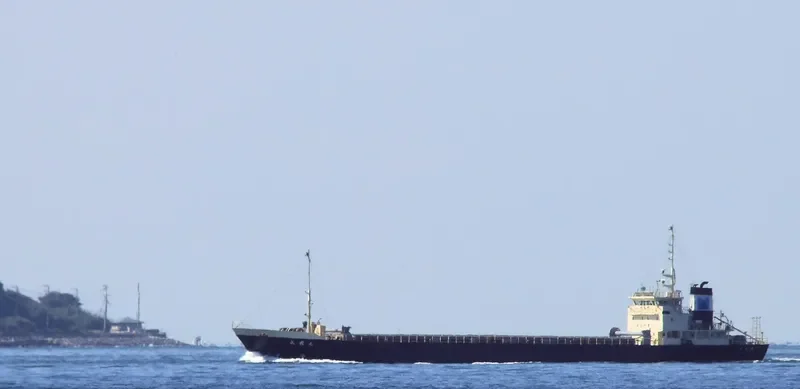FORTUNE GOODIES General Cargo IMO 9072666