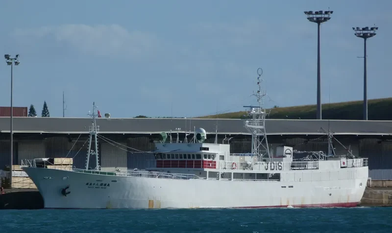 KAIYO MARU NO.58 General Cargo IMO 9072783 photo 4