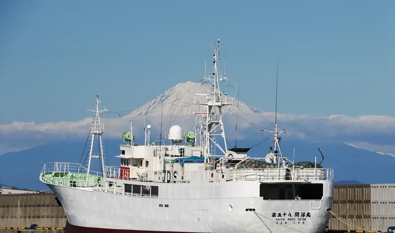 KAIYO MARU NO.58 General Cargo IMO 9072783 photo 8