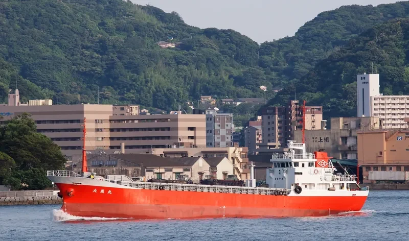 NIUMATH III General Cargo IMO 9072927 photo 2