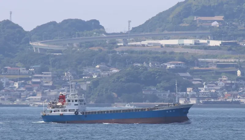 NIUMATH III General Cargo IMO 9072927 photo 3