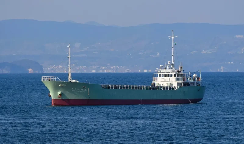 YAHATA MARU NO.8 General Cargo IMO 9072989 photo 4