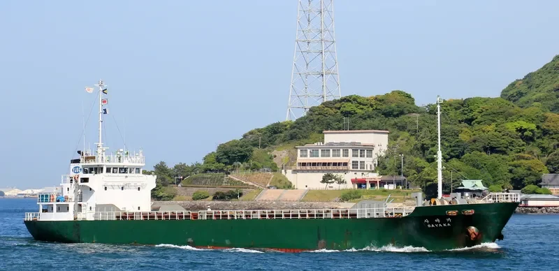 SAYAKA General Cargo IMO 9073000 photo 6