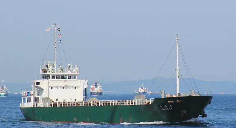 SAYAKA General Cargo IMO 9073000 photo 7