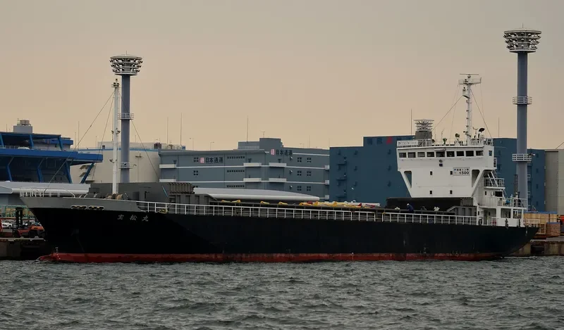 FORTUNE MIGHTY General Cargo IMO 9073012 photo 4