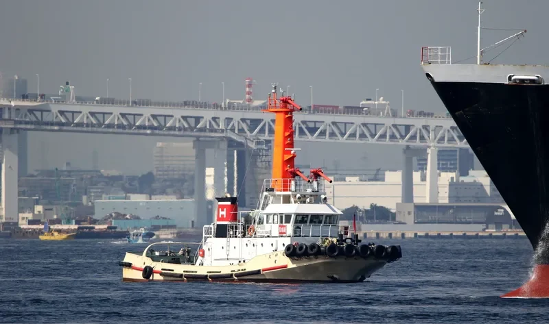 RYUJIN MARU General Cargo IMO 9073036 photo 8