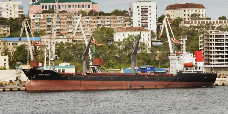 SURPLUS OCEAN 1 General Cargo IMO 9073165 photo 2