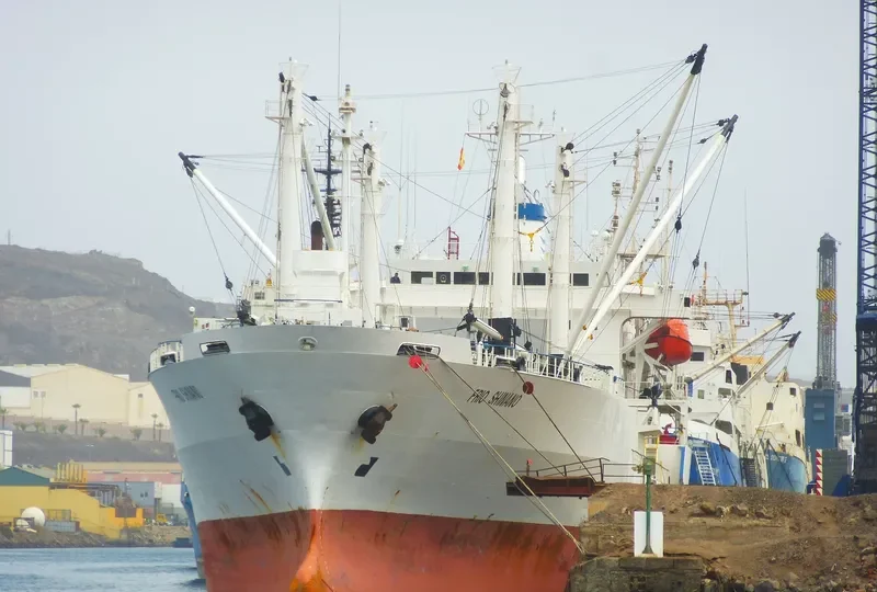 FRIO SHINANO General Cargo IMO 9073385 photo 4